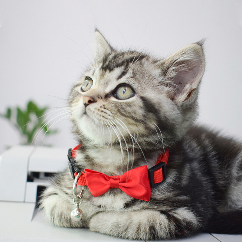 Melhores Suprimentos de Coleira para Cães e Gatos com Design Personalizado de Logo, Coleiras Ajustáveis para Cães e Gatos