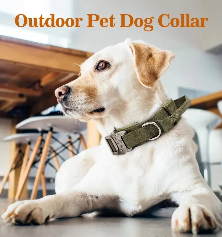 Coleiras de Cão Táticas Resistentes e Duráveis com Fivela de Metal e Alças para Uso Externo