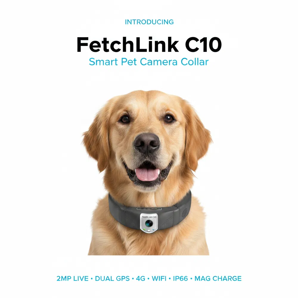 Colar de Choque Inteligente Bluetooth Personalizado para Cães Golden Retriever