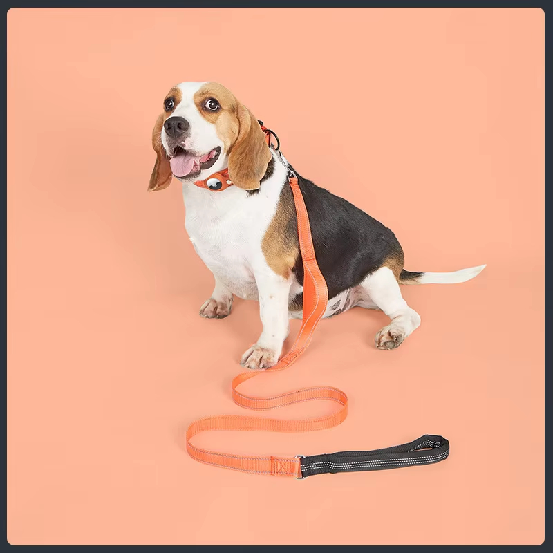 Conjunto de Coleira e Guia para Caminhada Ajustável, Macia e Refletiva para Gato e Cachorro