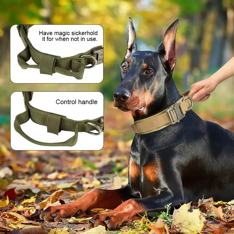 Coleiras de Cão Táticas Resistentes e Duráveis com Fivela de Metal e Alças para Uso Externo
