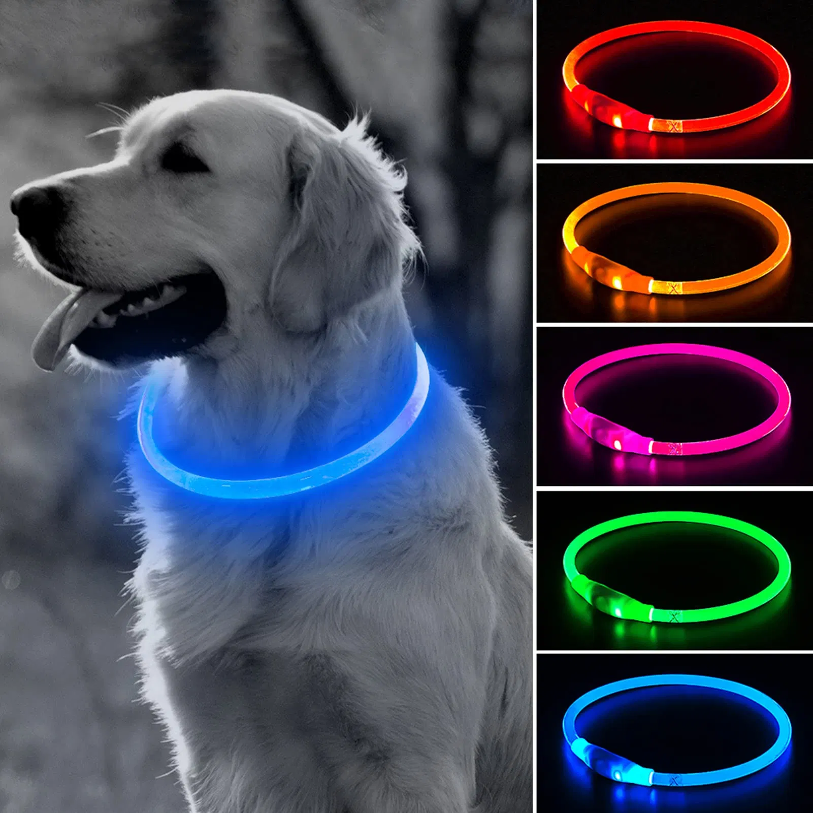 Colar de Cão Personalizado em TPU com LED, Tamanhos P, M e G, Recarregável por USB, Fácil de Cortar