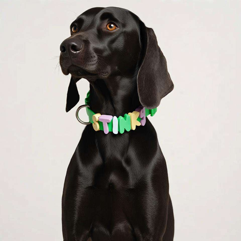 Coleira de Silicone Personalizada para Animais de Estimação com Nome e Letras Personalizadas, Coleira de Silicone Não Tóxica para Gatos e Cães