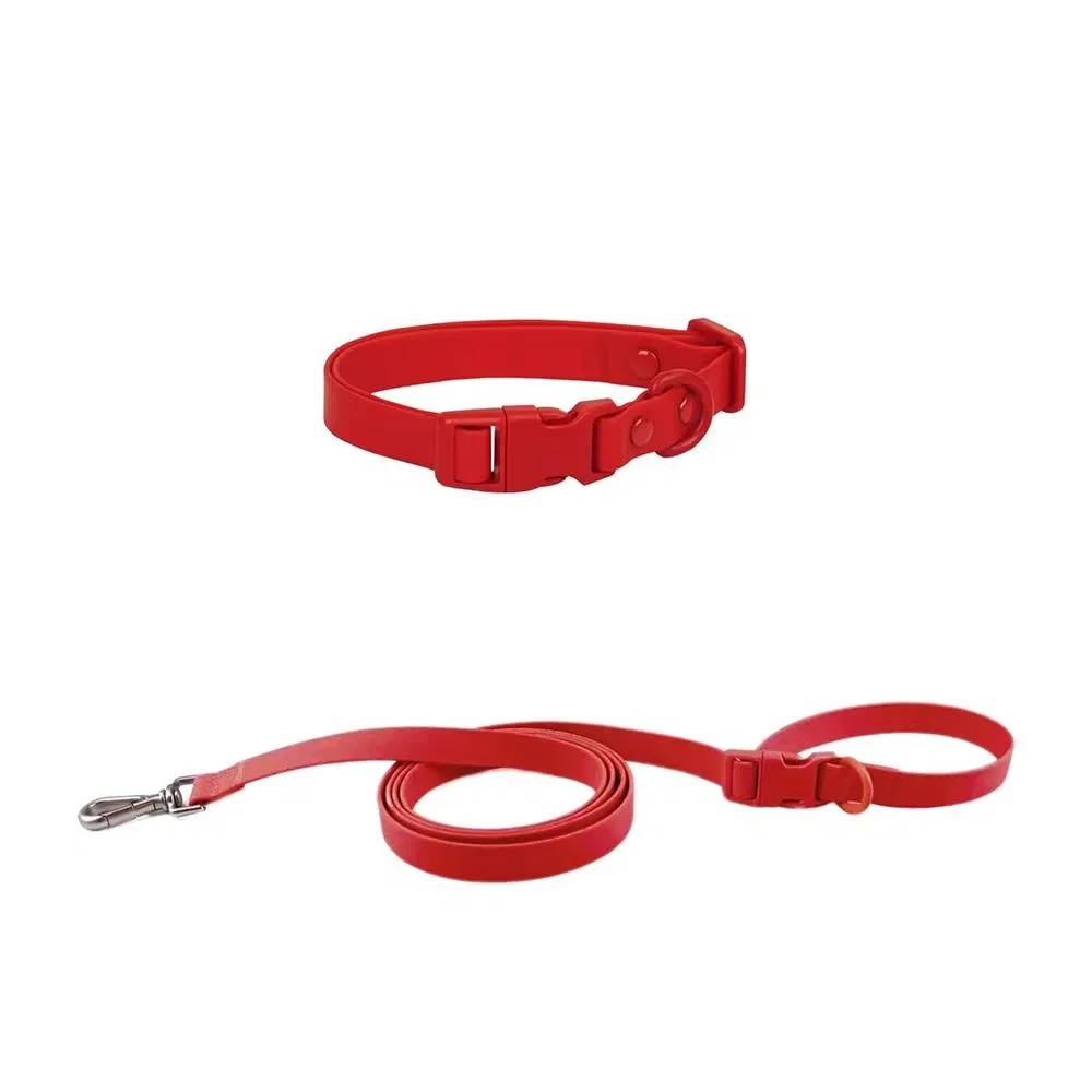 Equipamento para cães