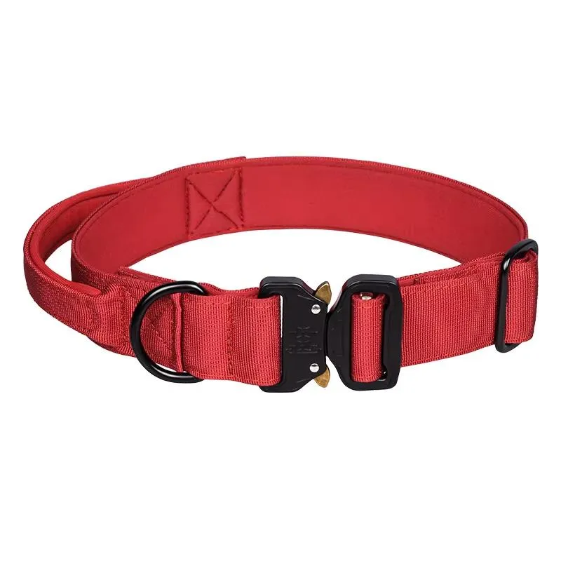 Coleira de Cão de Nylon Resistente