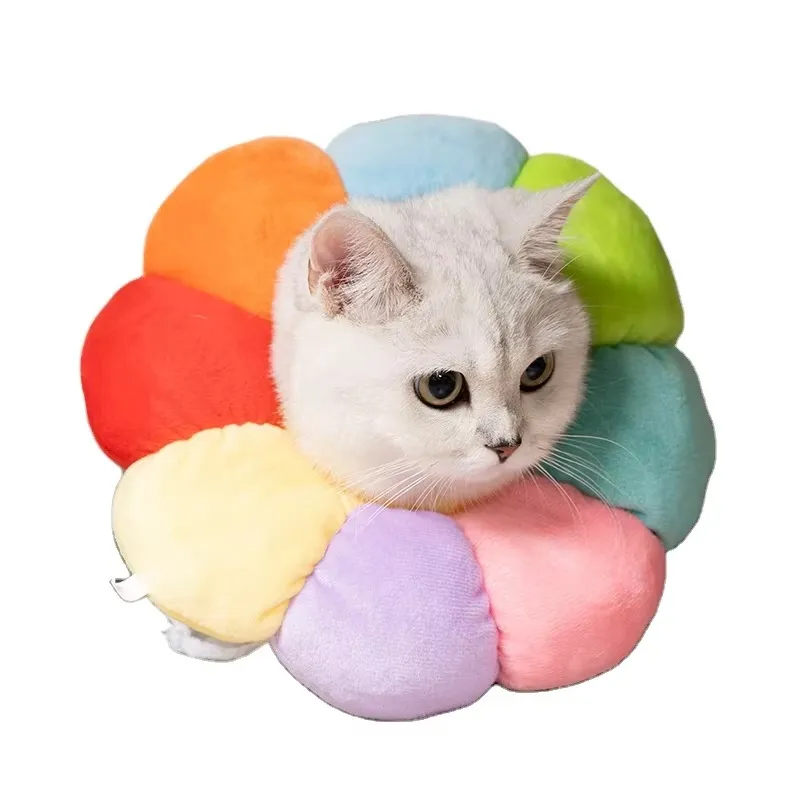 Colar Elizabethano Colorido 1