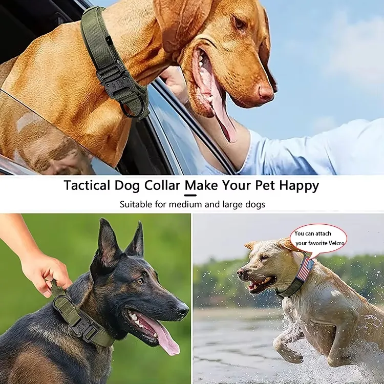 Coleiras de Cão Táticas Resistentes e Duráveis com Fivela de Metal e Alças para Uso Externo
