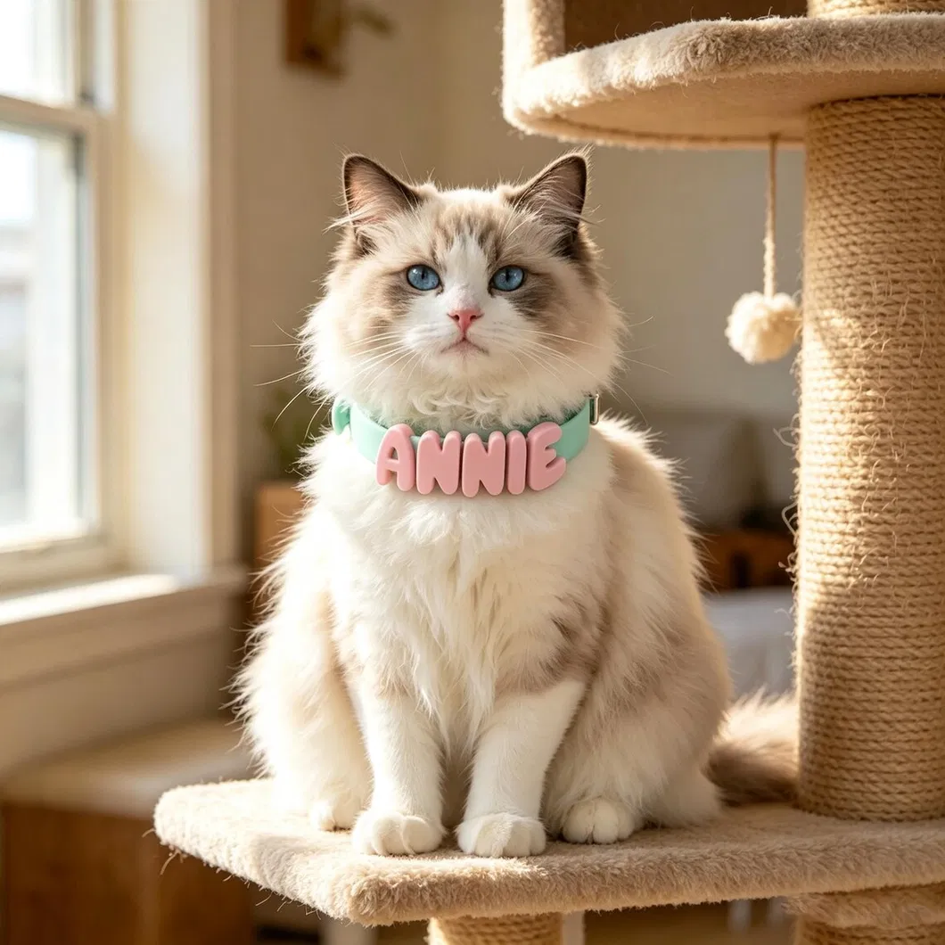 Colar de Silicone Personalizado para Cachorro com Nome, Coleira Pastel para Filhote, Coleira à Prova d'Água para Cães