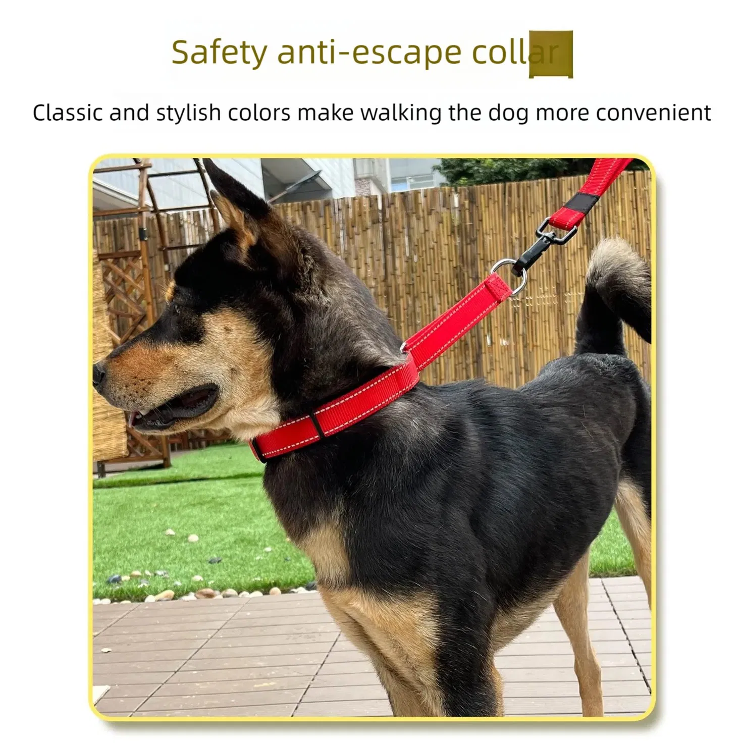 Coleira de Cão Clássica Personalizada Barata de Nylon com Fivela de Fabricante de Produtos para Animais de Estimação com Fitas Personalizadas Sólidas para Passear o Cão