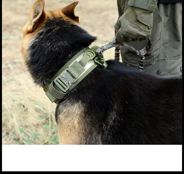 Coleira Tática Pesada para Cães com Alça para K9 Treinamento