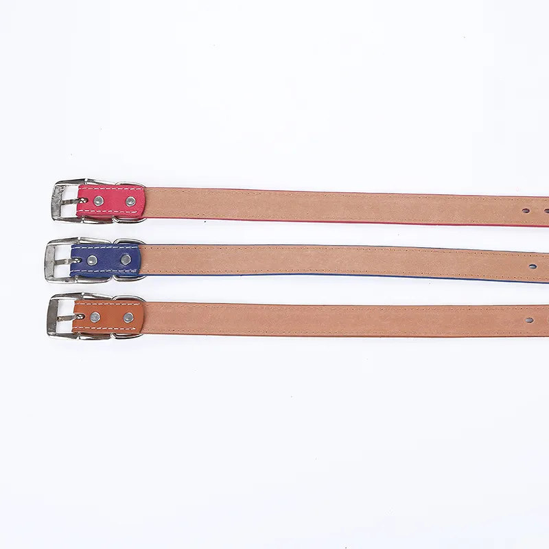 Coleira de Cão Moda Atacado Acessórios para Animais de Estimação Opções de Cores Coleira de Couro Personalizada