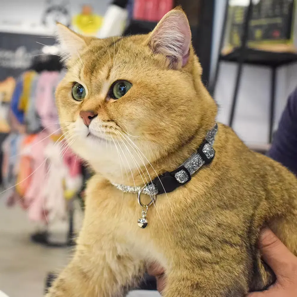 Coleiras Ajustáveis com Brilho para Gato e Cachorro com Sino e Fecho de Segurança