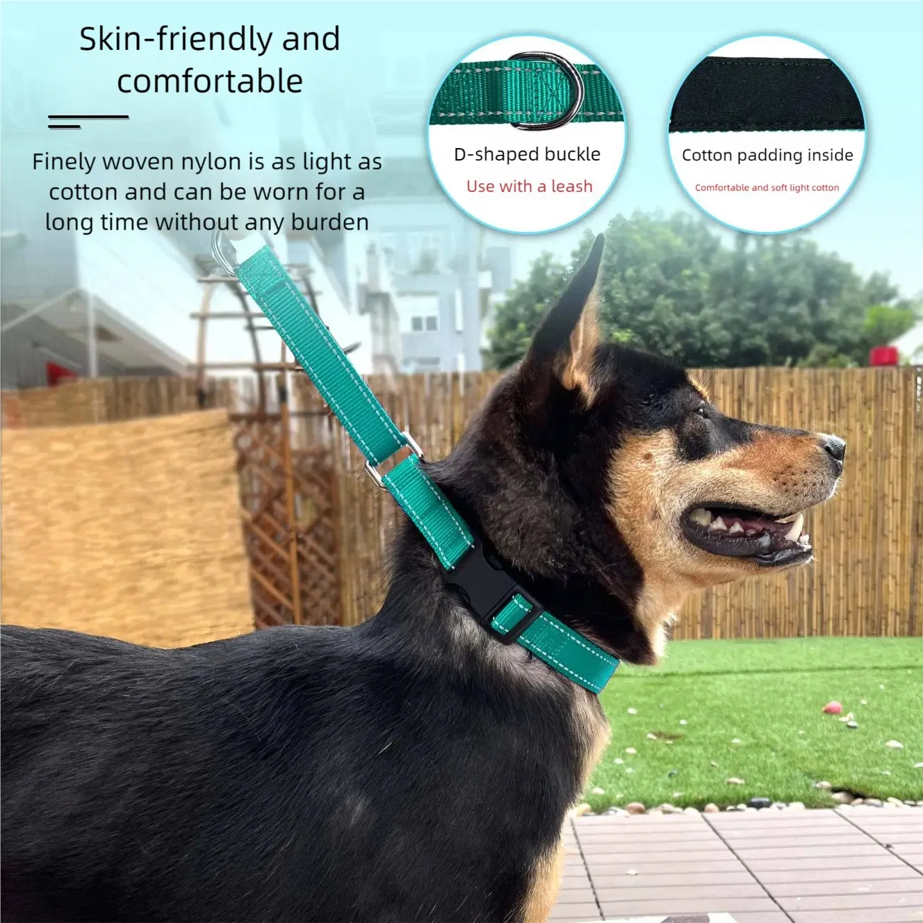 Coleira de Cão Clássica Personalizada Barata de Nylon com Fivela de Fabricante de Produtos para Animais de Estimação com Fitas Personalizadas Sólidas para Passear o Cão