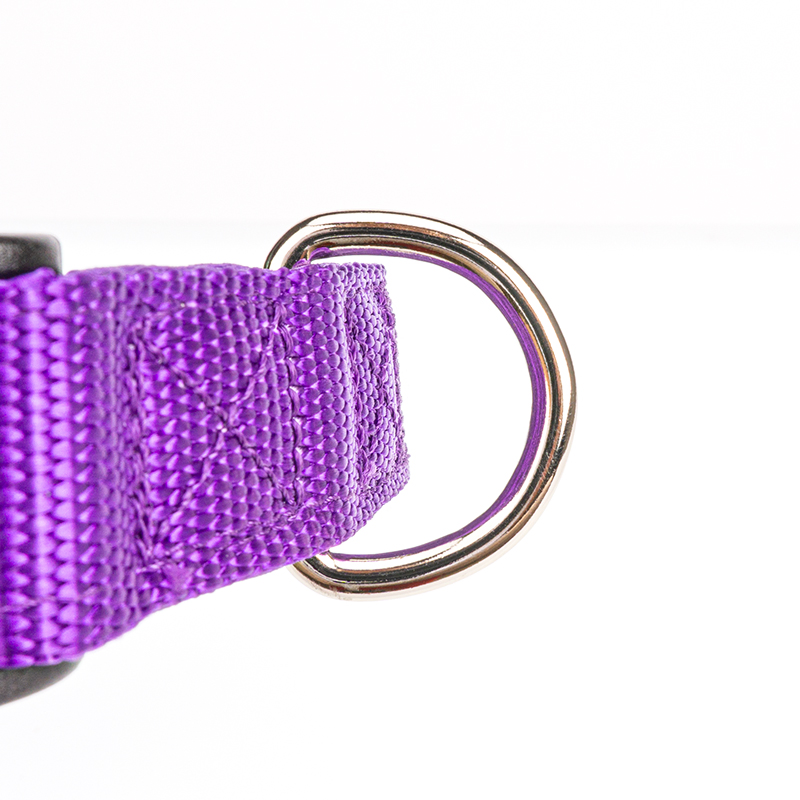 Produtos de Suprimento para Animais de Estimação Personalizados em Nylon/Poliéster, Produtos de Coleira e Guia Retrátil, Coleira de Treinamento para Cães Personalizada
