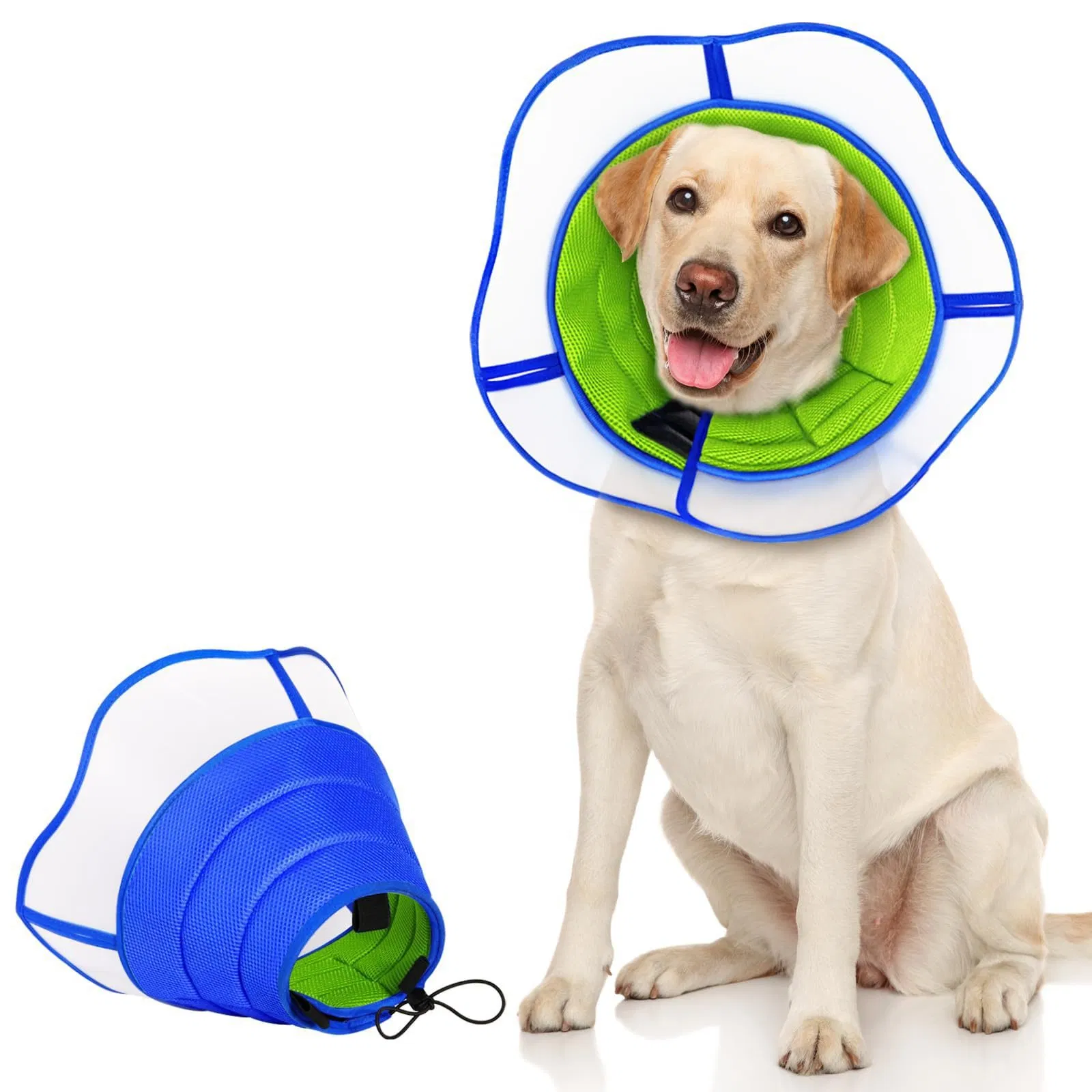 Colar Elizabeth - Padrão DOT para Proteção de Feridas de Animais Após Cirurgia