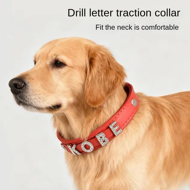 Coleira de Pet com Strass Personalizada com Charms de Nome