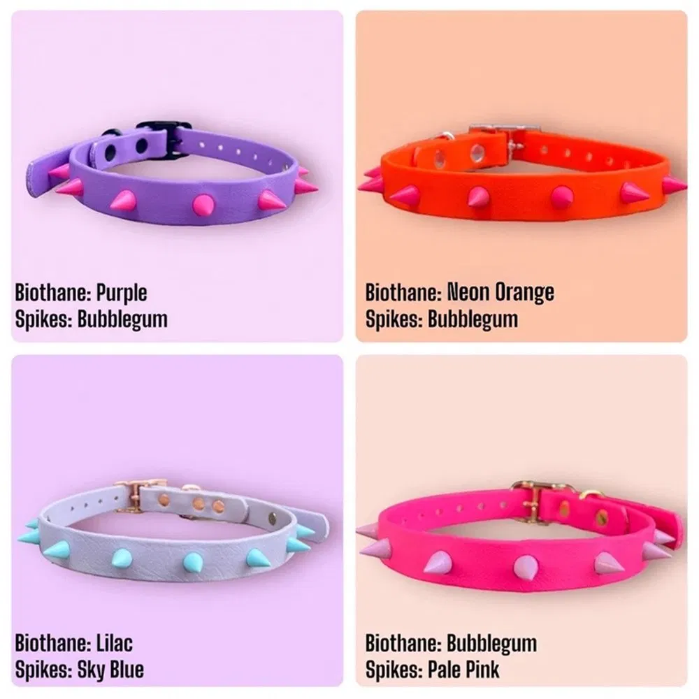 Durable Stylish Customizable Eco-Friendly Spiked Dog Collar