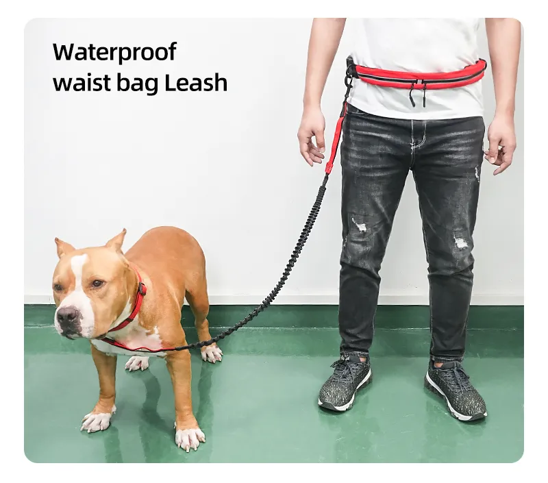 Coleira de Cão Retrátil Refletiva de Nylon Elástico para Corrida ao Ar Livre Sem Mãos