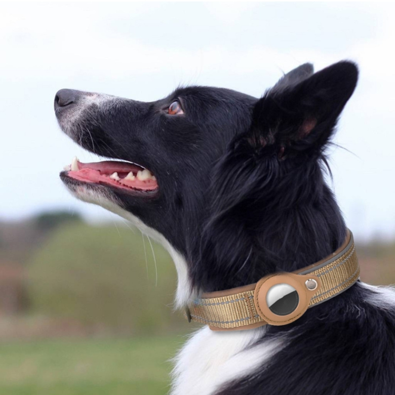 Colar Antiperda para Animais de Estimação, Colar para Cães e Gatos com Airtag