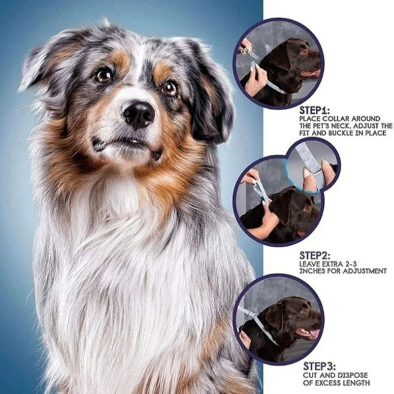 Coleira Antipulgas e Carrapatos para Cães e Gatos 8 Meses de Proteção Coleiras Retráteis para Filhotes e Gatos Grandes Acessórios para Cães