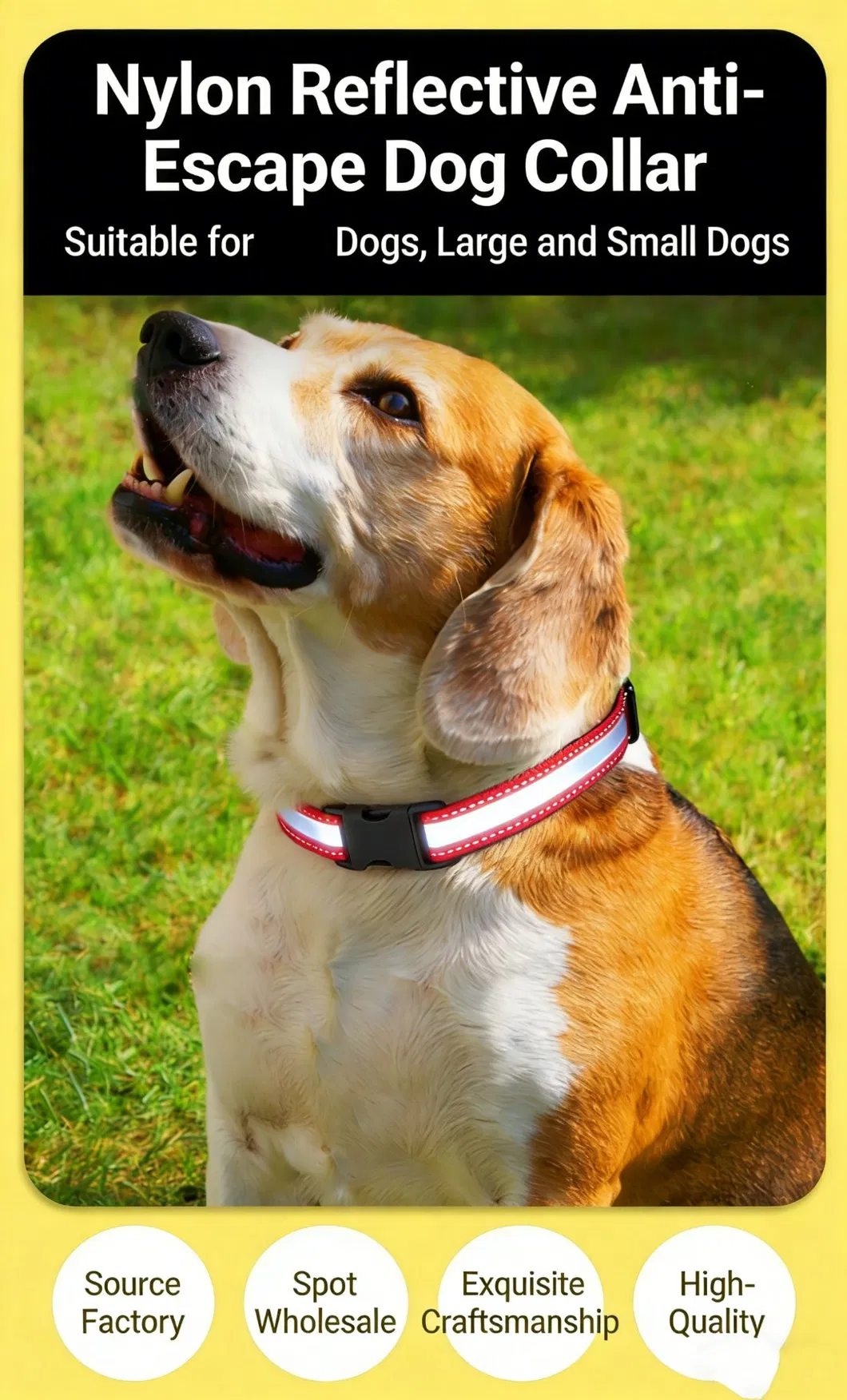 Coleira de Cão Clássica Personalizada Barata de Nylon com Fivela de Fabricante de Produtos para Animais de Estimação com Fitas Personalizadas Sólidas para Passear o Cão