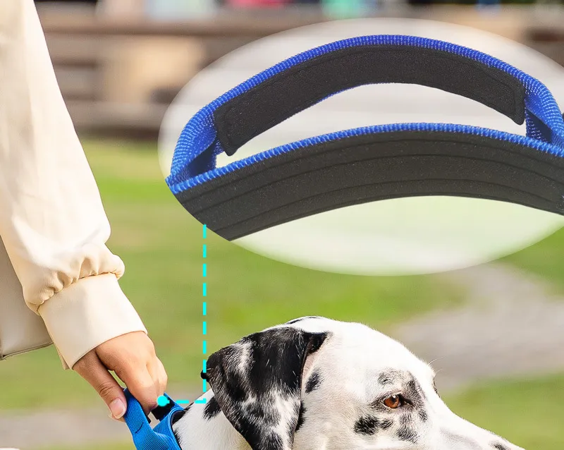 Coleira de Cão Macia Almofadada com Alça de Nylon para Cães Médios a Grandes Estilo Tático de Alta Resistência
