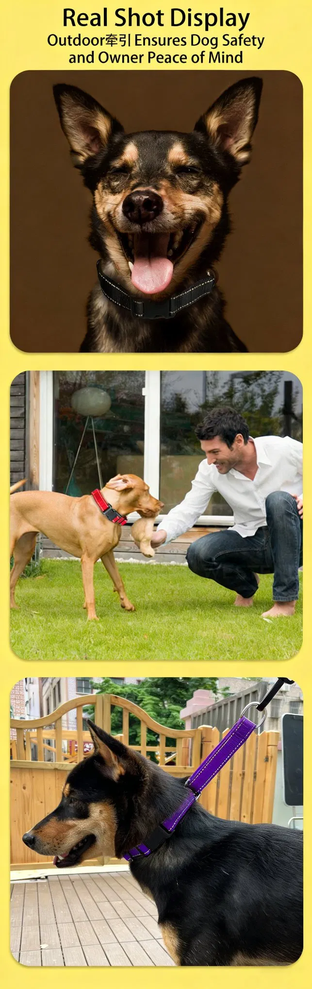 Coleira de Cão Clássica Personalizada Barata de Nylon com Fivela de Fabricante de Produtos para Animais de Estimação com Fitas Personalizadas Sólidas para Passear o Cão