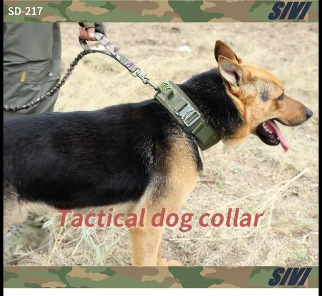 Coleira Tática Pesada para Cães com Alça para K9 Treinamento