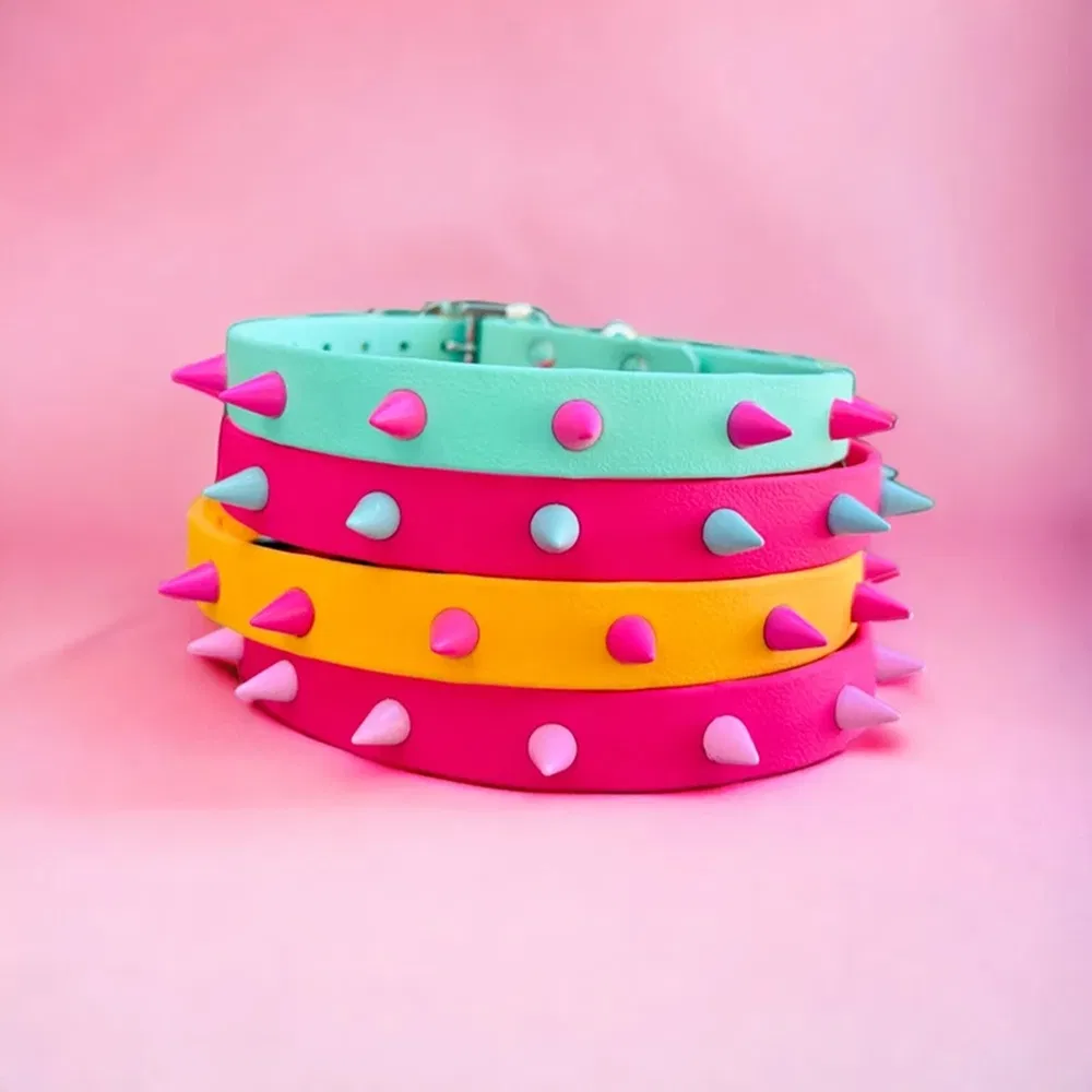 Durable Stylish Customizable Eco-Friendly Spiked Dog Collar