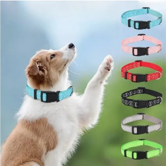 Coleira Personalizada Colorida e Resistente para Animais de Estimação Aventureiros