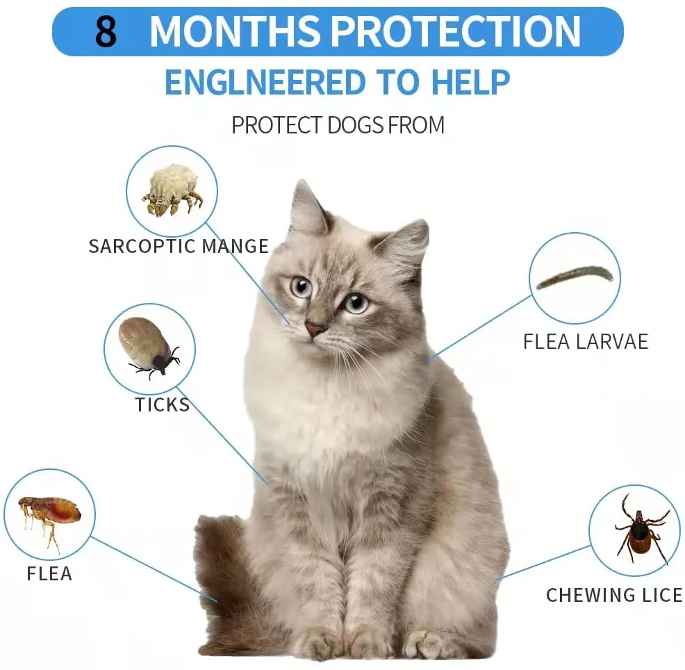 Tratamento Natural para Pulgas de Gato, Coleira Ajustável para Pulgas e Carrapatos, Proteção contra Pulgas por 6 Meses, Vendas Diretas de Fábrica