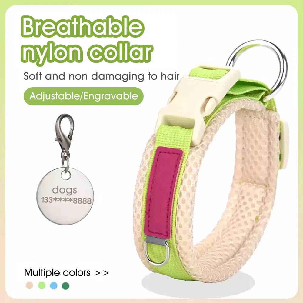 Coleiras grandes para cães premium em malha, grossas, retráteis e personalizáveis, em cores da moda