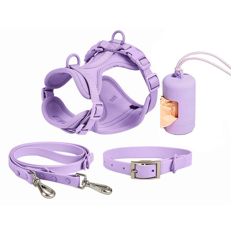 Fabricante de Coleira de Cão em Neoprene Macio com Guia Impressões Personalizadas Coleira de Luxo para Cães Guias Suprimentos para Animais de Estimação