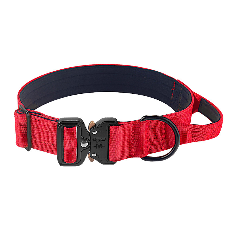 Coleira Tática Personalizada para Cães, Coleira de Metal Resistente para Treinamento e Exercício de Cães