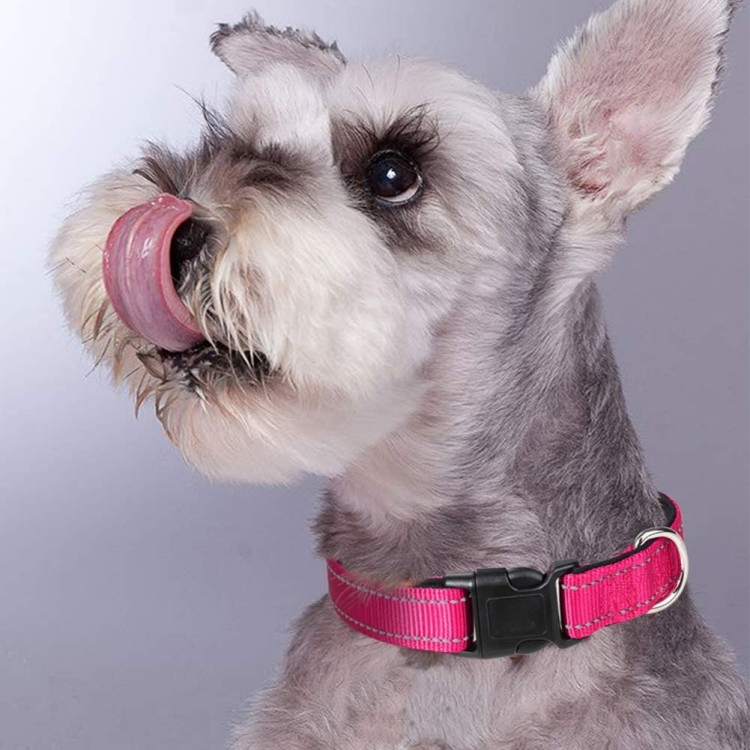 Coleira Refletiva Clássica para Cães