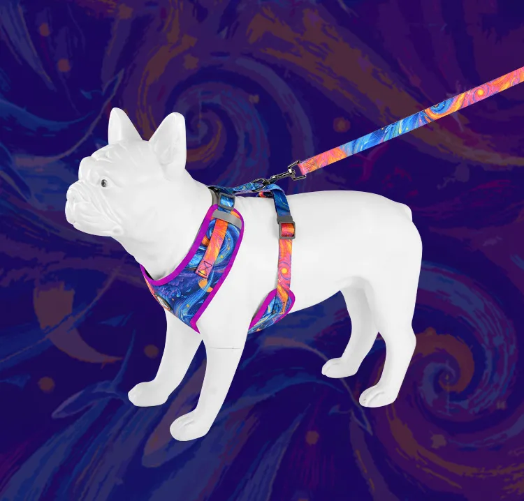Conjunto de Coleira, Guia e Arnês para Cachorro Sem Puxar Acessórios Personalizados para Cães