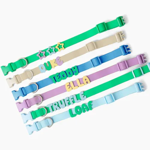 Coleira de Cachorro Personalizada 3