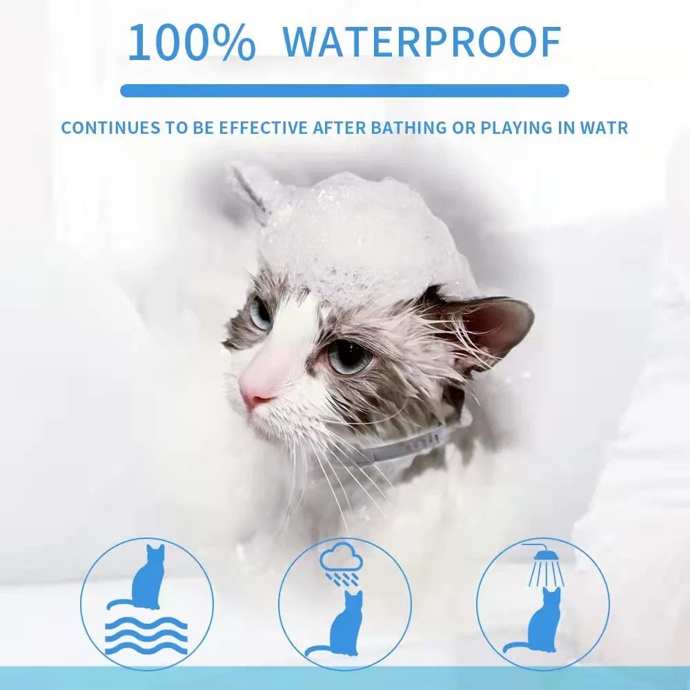 Tratamento Natural para Pulgas de Gato, Coleira Ajustável para Pulgas e Carrapatos, Proteção contra Pulgas por 6 Meses, Vendas Diretas de Fábrica