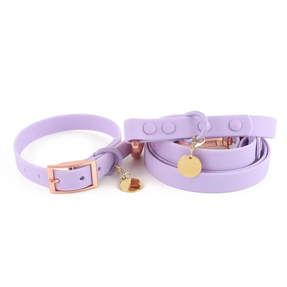 Conjunto de Luxo de Guia para Cães à Prova d'Água em PVC com Padrão Personalizado, Coleira e Guia de Nylon para Mãos Livres
