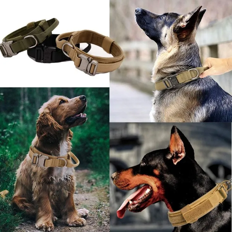 Coleira de Cão com Punho de Controle Tático