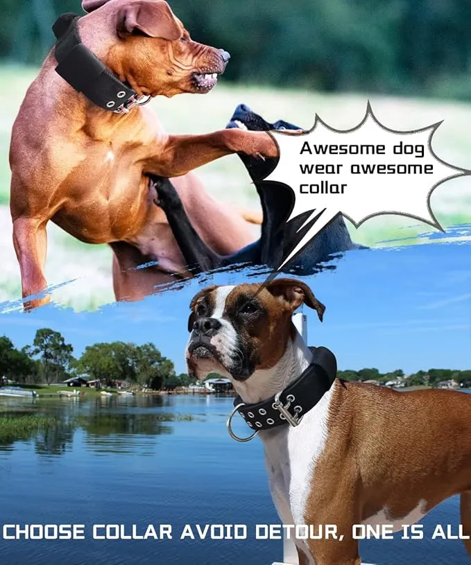 Coleira Grande Ajustável para Cães com Fivela de Metal em Forma de D Coleira Tática China