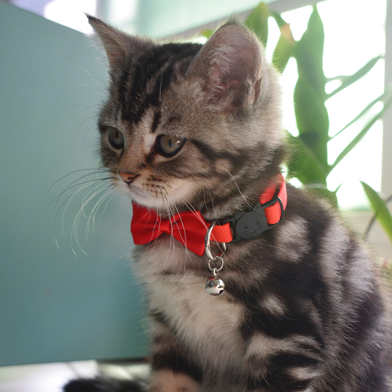 Melhores Suprimentos de Coleira para Cães e Gatos com Design Personalizado de Logo, Coleiras Ajustáveis para Cães e Gatos
