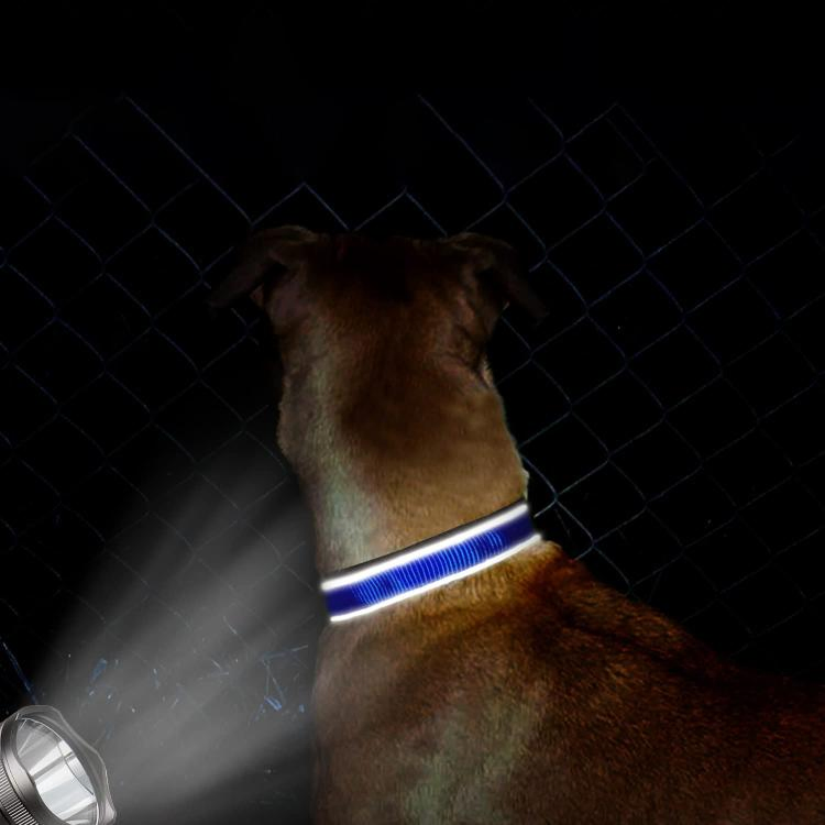 Coleira Refletiva de Neoprene para Cães