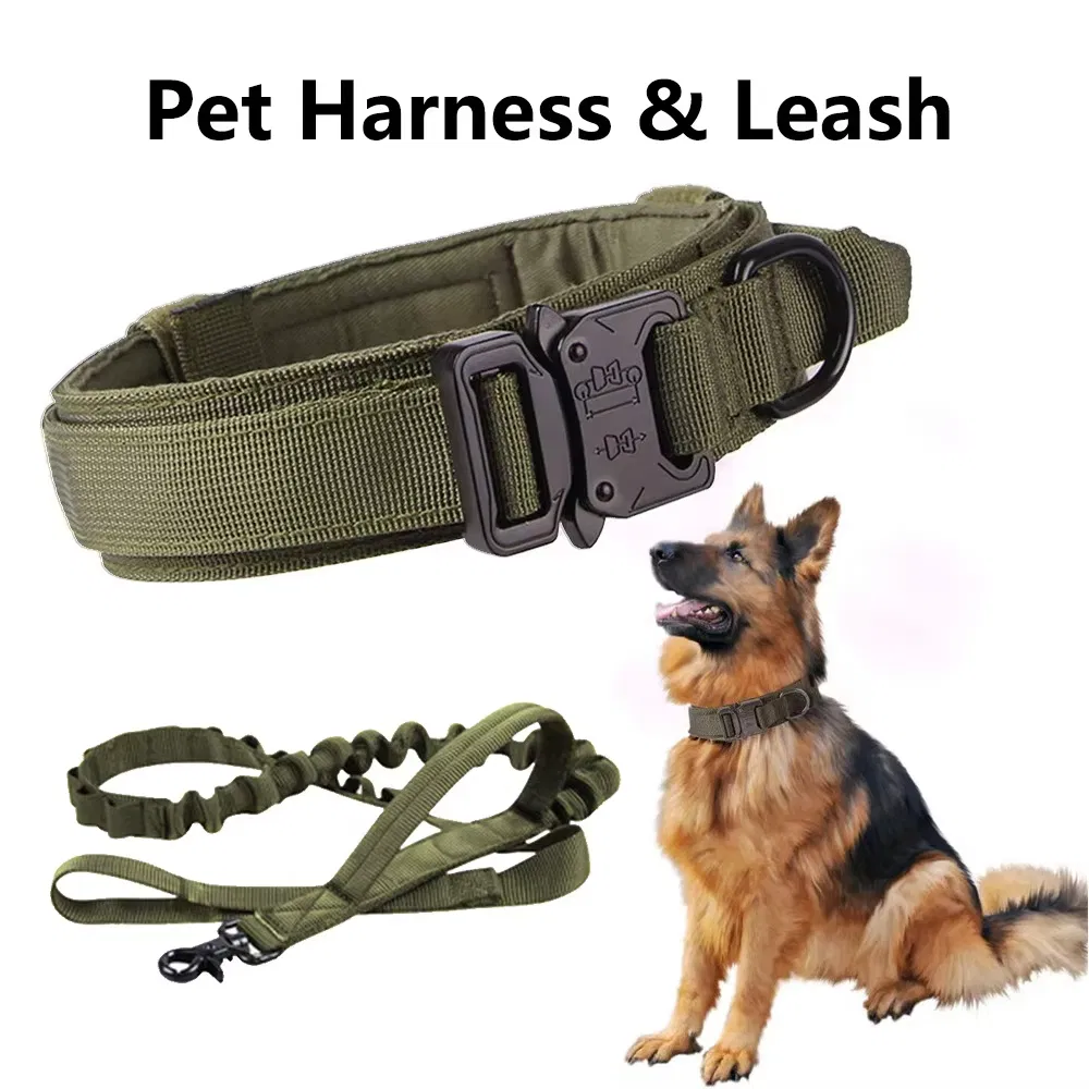 Coleiras de Cão Táticas Resistentes e Duráveis com Fivela de Metal e Alças para Uso Externo
