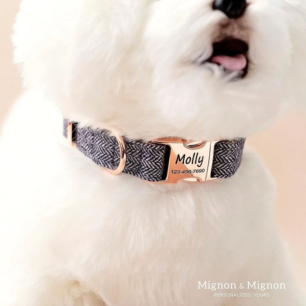 Coleira de Cachorro Presentes Personalizados para Mãe de Cachorro Coleira com Nome do Pet Gravado