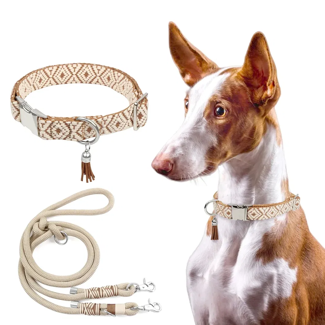 Conjunto de Coleira e Guia para Cães de Novo Design Luxuosa Trançada à Mão Guia Sem Mãos