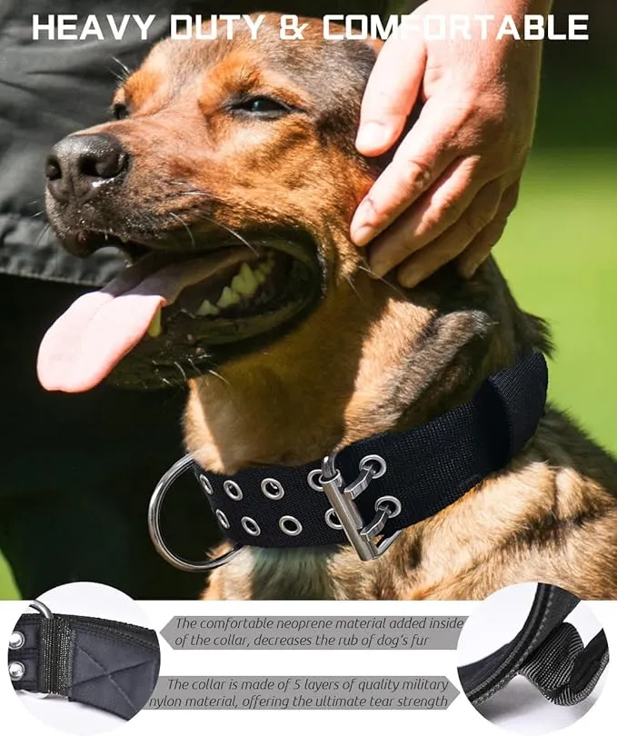 Coleira Grande Ajustável para Cães com Fivela de Metal em Forma de D Coleira Tática China