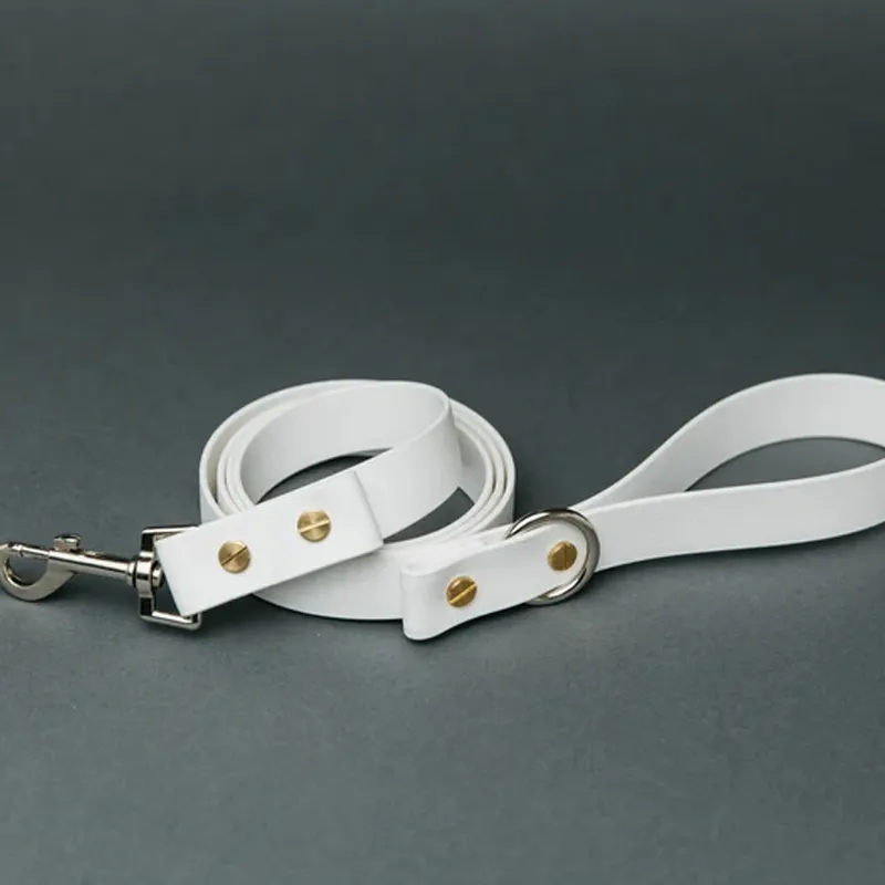 Coleira e guia de cachorro em PVC luxo