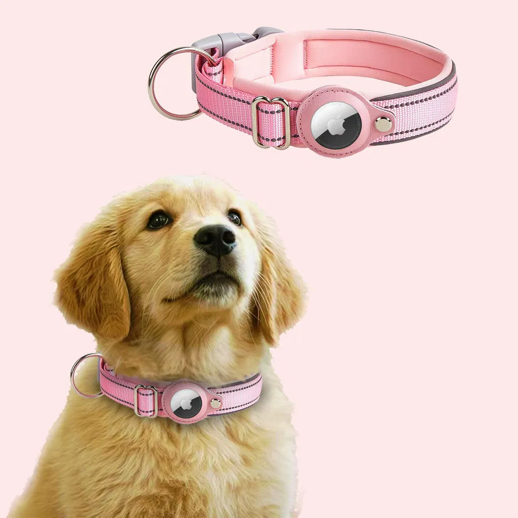 Coleiras de Pet Personalizadas e Exclusivas com Recurso de Rastreamento Airtag