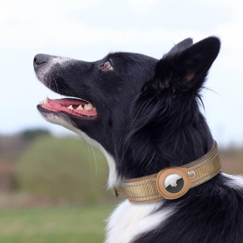 Conjunto de Coleira e Guia para Caminhada Ajustável, Macia e Refletiva para Gato e Cachorro
